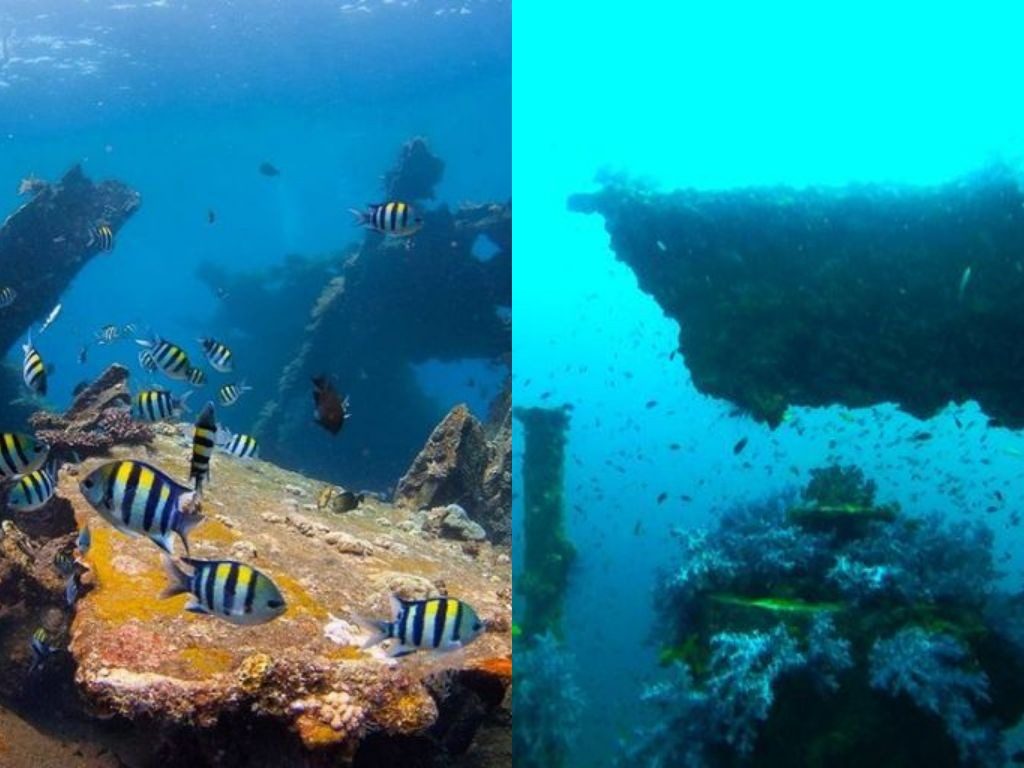 Spot Plongée Bali : vaut-il mieux plonger à Bali ou à Phuket ?