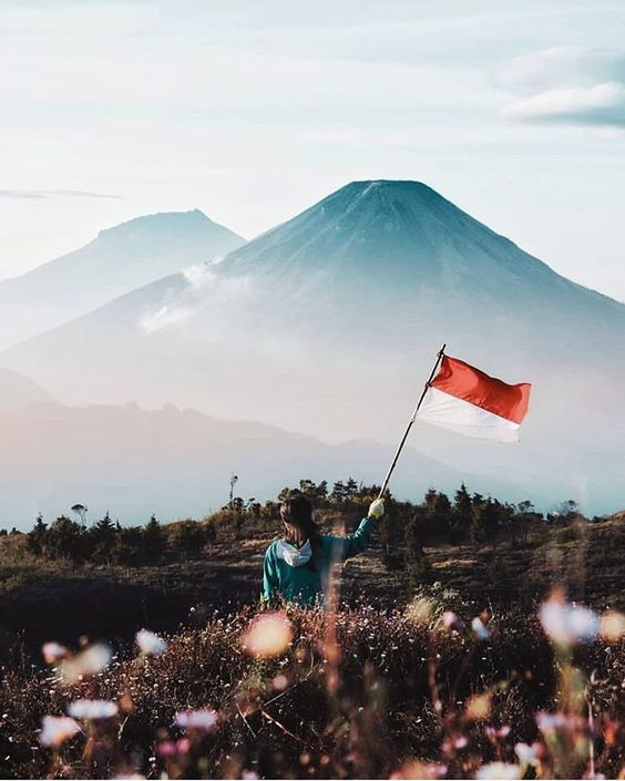 Les choses générales que vous pouvez trouver pendant votre voyage en Indonésie