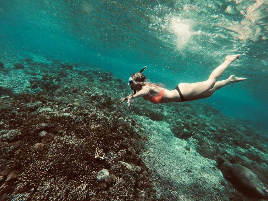 Meilleurs sites de plongée à Bali pour voir des animaux marins en voie de disparition
