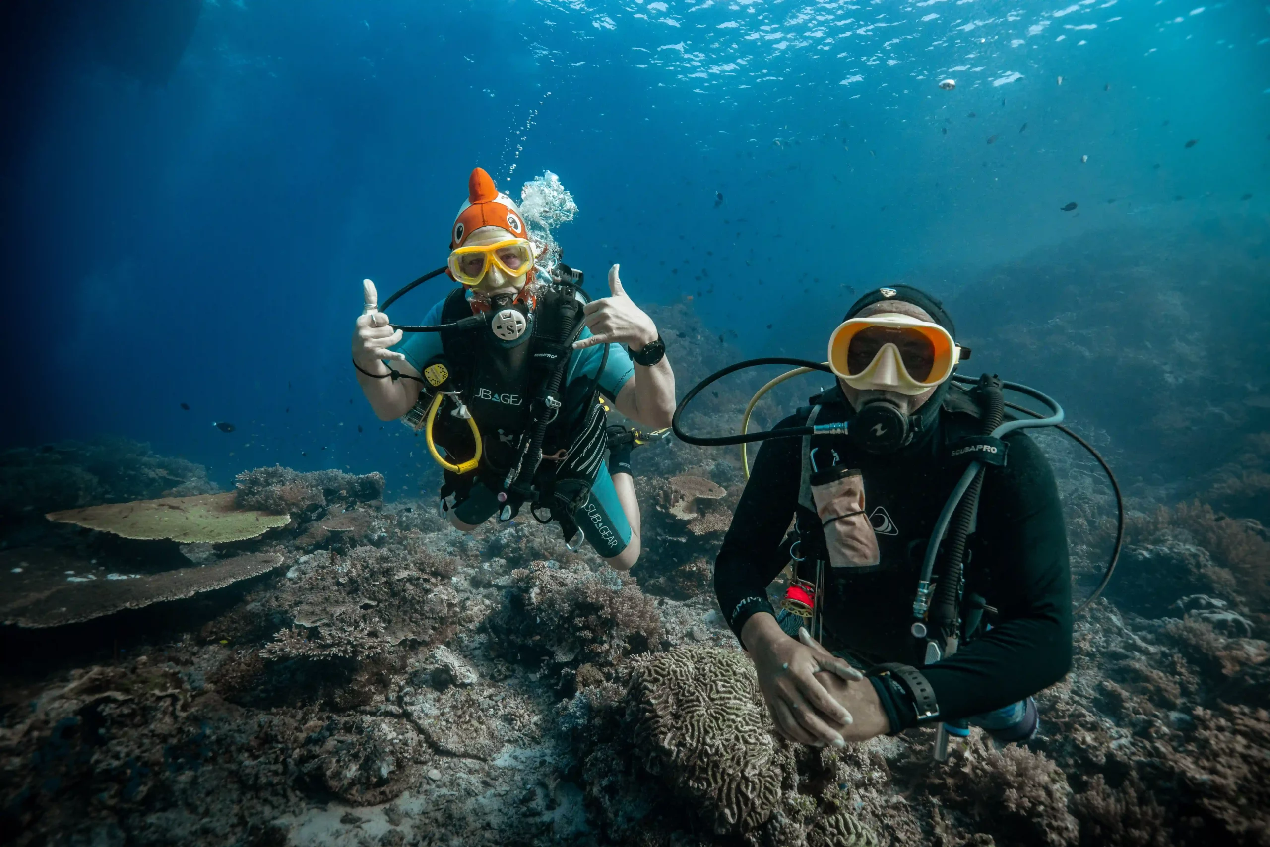 Seasonal Guide to Komodo Diving: How Long to Stay in Dry vs. Wet Season